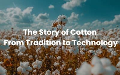 The Story of Cotton: From Tradition to Technology