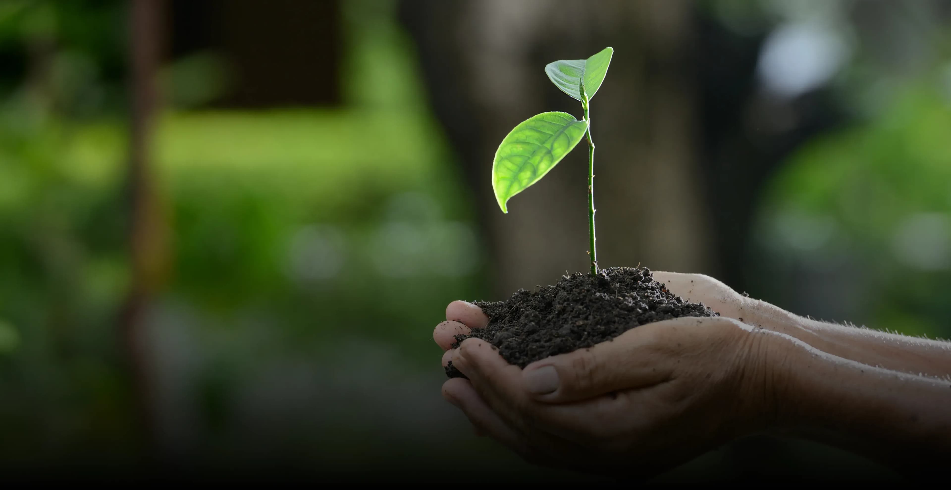 SUSTAINABILITY